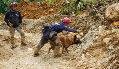 Labores de búsqueda en Chocó.