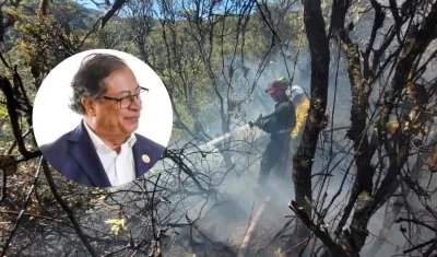 Hay 21 incendios activos en el país.