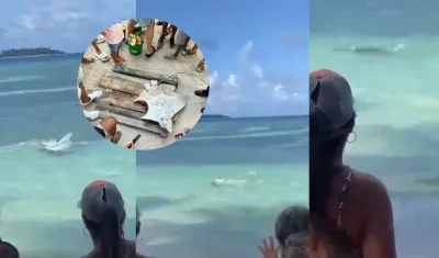 Tiburón caza una mantarraya.