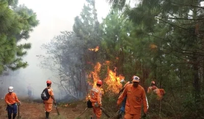 Imagen de referencia.