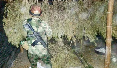 Un soldado vigila la zona del Cauca en donde fueron incautadas 6 toneladas de marihuana