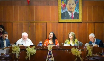 La senadora guajira Martha Peralta en una de las discusiones de la Reforma a la Salud