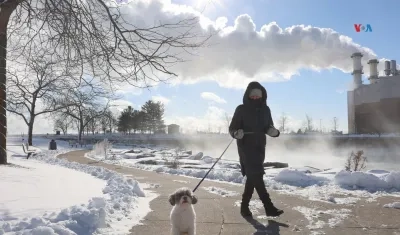 Un ciudadano y su mascota caminan entre la nieve este viernes en Nueva York
