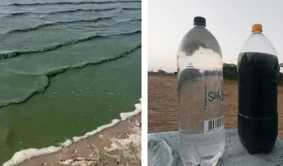 El agua de la ciénaga se tornó verdosa.