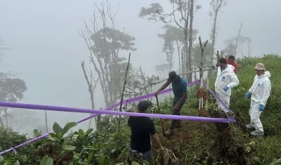 Los encontraron en los municipios de Urrao y Frontino, en Antioquia.