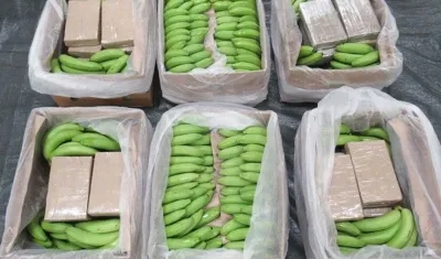 La cocaína iba camuflada en cajas llenas de guineo verde. 