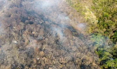 No se tiene control del incendio debido a la amplia zona boscosa.