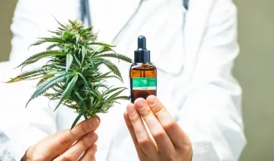 Foto referencia de cannabis medicinal