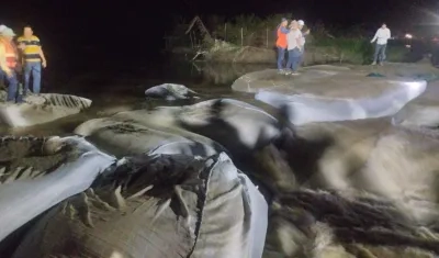 Las megabolsas usadas para el cierre definitivo de 'Caregato'