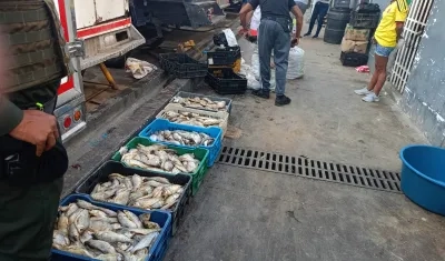 Tenía un valor aproximado de $3 millones. 