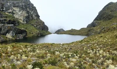 Páramo de Santurbán. 