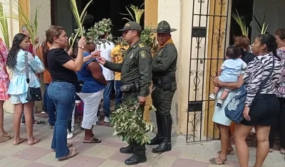 La palma de cera es una de las plantas que ha dado a conocer a Colombia en el exterior.