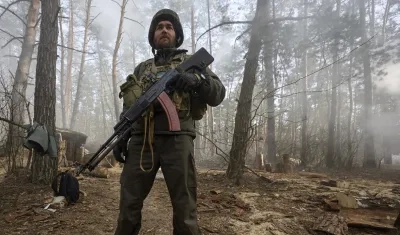 Imagen de referencia.