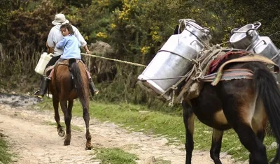 Productores rurales de leche