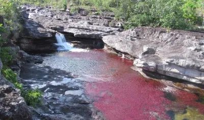  ANLA le revocó la licencia ambiental a petrolera por posibles daños a Caño Cristales. 