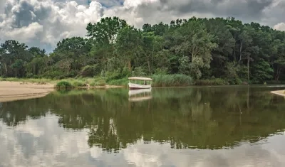 La Corte pidió al Congreso que desarrolle un marco normativo comprensivo.
