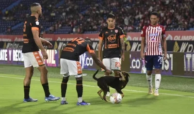 El perro le ladra a los jugadores del Envigado que intentaban sacarlo de la cancha. 