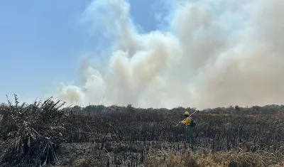 Quemas en el Parque Isla Salamanca. 