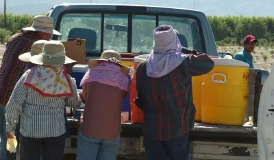 Imagen de referencia.