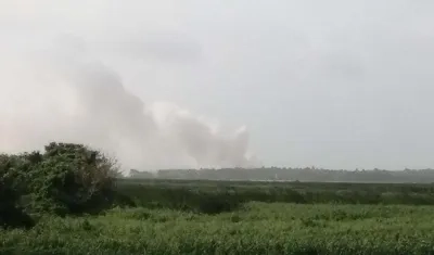 Quema en parque Isla Salamanca.