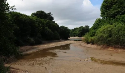 Imagen de referencia.