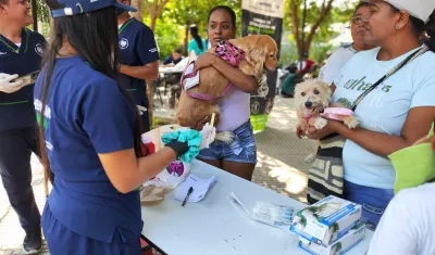 Esta primera jornada fue organizada por la Alcaldía de Barranquilla.