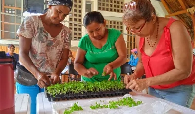 Huertas comunitarias en el barrio La Paz. 