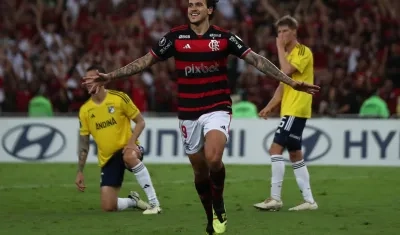 Pedro de Flamengo. 
