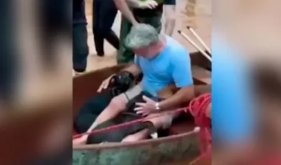 Hombre rescató a sus cuatro perros.