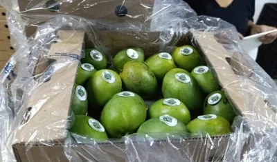 A comienzos de mayo fueron despachadas 13 toneladas de mango de azúcar desde el puerto samario