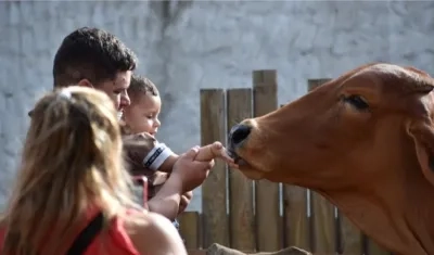 Visitantes disfrutan de los animales del Zoológico.