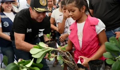 La apuesta ha impactado a 117 IED.