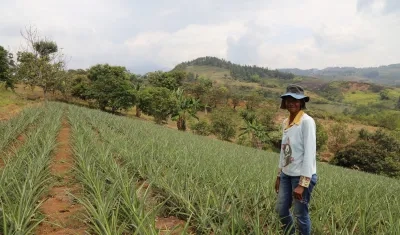 Imagen referencia entrega de tierras en el Cauca.