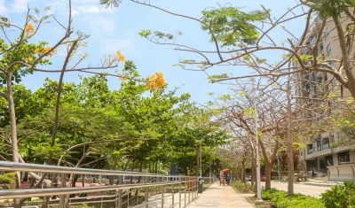 Uno de los parques de Barranquilla. 