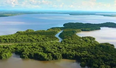 Son seis departamentos en total.