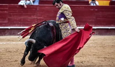 Corrida de toros,  novilladas y el rejoneo quedan prohibidos. 