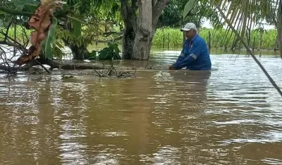 Extensas tierras de San Benito Abad permanecen bajo el agua por la ruptura de 'Caregato'