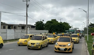 Avenida Circunvalar a la altura de Las Gaviotas hay 'Plan tortuga'