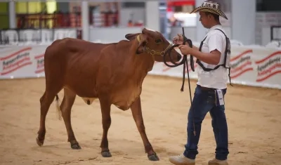 La feria principal del sector agropecuario.