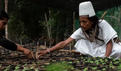 Pueblo indígena Arhuaco. 