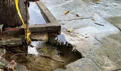 Fuga de agua en el barrio Los Andes. 