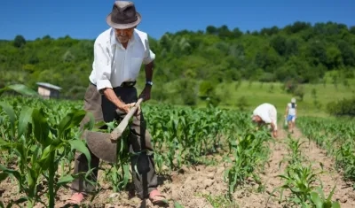 Imagen referencia campo colombiano.