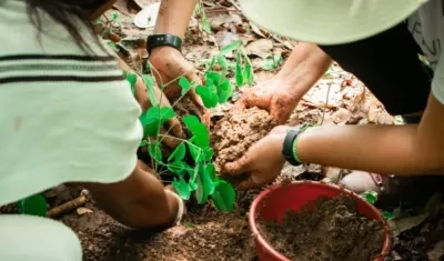 Los proyectos deben estar enfocados en combatir el cambio climático. 