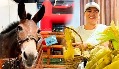 Primer día de Agroexpo Caribe.