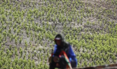 Imagen de referencia.