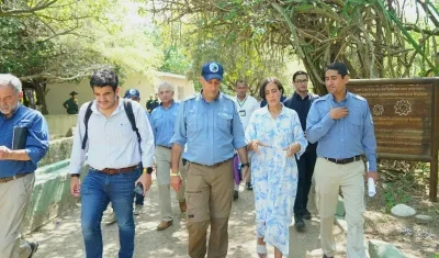 MinAmbiente anunció creación de Consejo