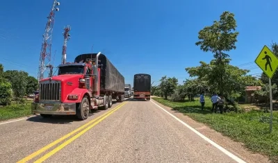 Imagen de referencia.