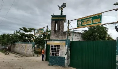 Nevada de la empresa Lolaya.