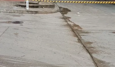 Árbol caído en la carrera 14, a la altura del barrio Cevillar.