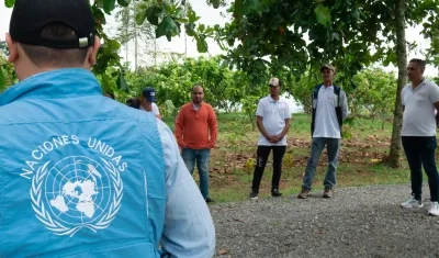 Imagen de referencia.